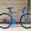 700 Fixie Bike - Disc Brake